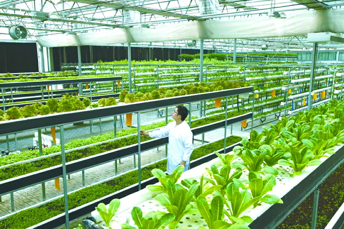 2025高考地理：农业技术的新变革与未来展望！